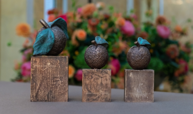 <p>De bronzen Appeltjes van Oranje. </p>