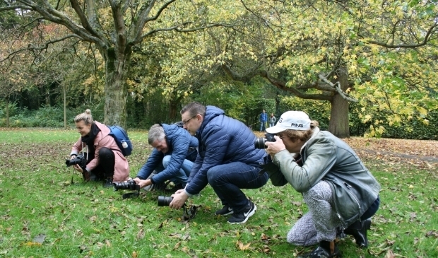 <p>Tijdens de cursus ontdekt u stapsgewijs hoe u nog betere foto's kunt maken. </p>