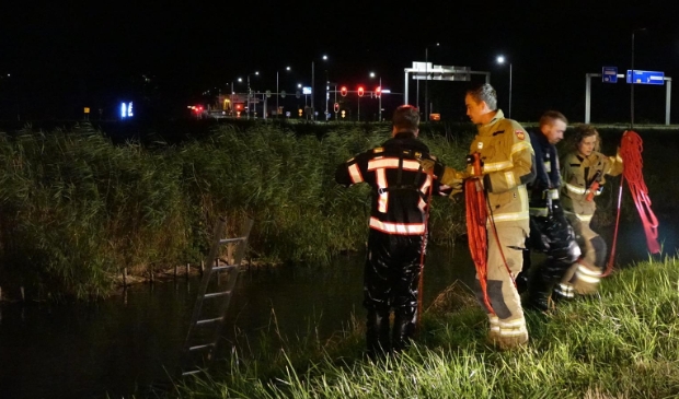 <p>Duikactie afgelopen nacht in Enkhuizen na melding persoon te water.</p>