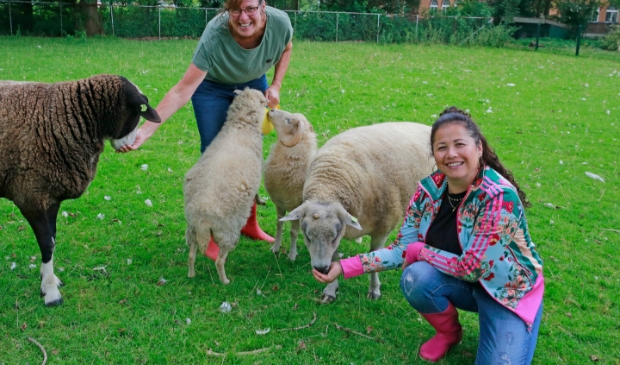 <p>Marijke (links) en Alice zijn al jaren vrijwilliger bij Kinderboerderij de Beestenboel.</p>