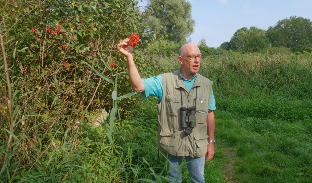 <p>Henk toont de lijsterbessen. Niet te veel van eten!</p>