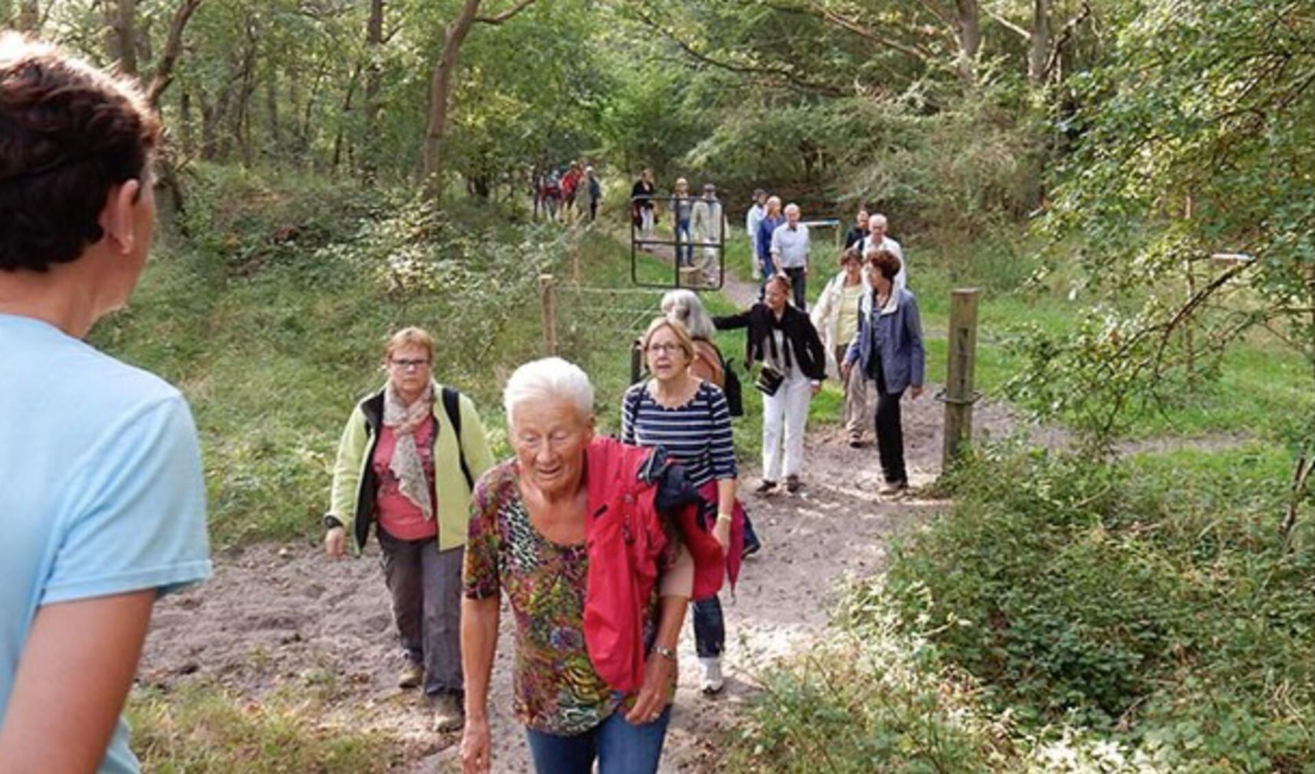 Natuurwandelaars in het Noordhollands duinreservaat.