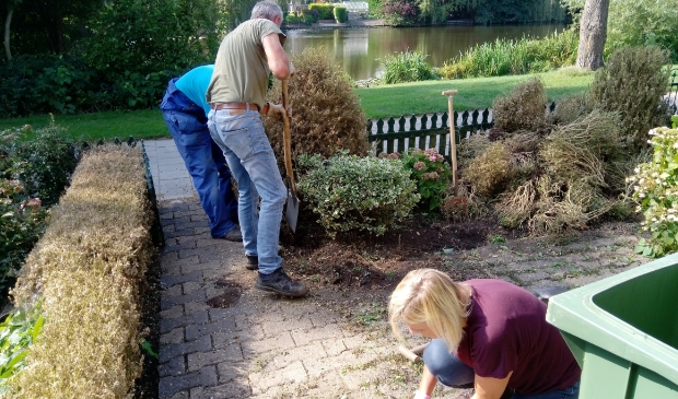 <p>Groene vingers gezocht in Hollands Kroon.</p>