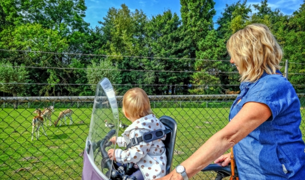 <p>Stichting Hertenpark Uitgeest geeft bezoekers tijdens de Open Dag Route ook een kijkje achter het hek. </p>