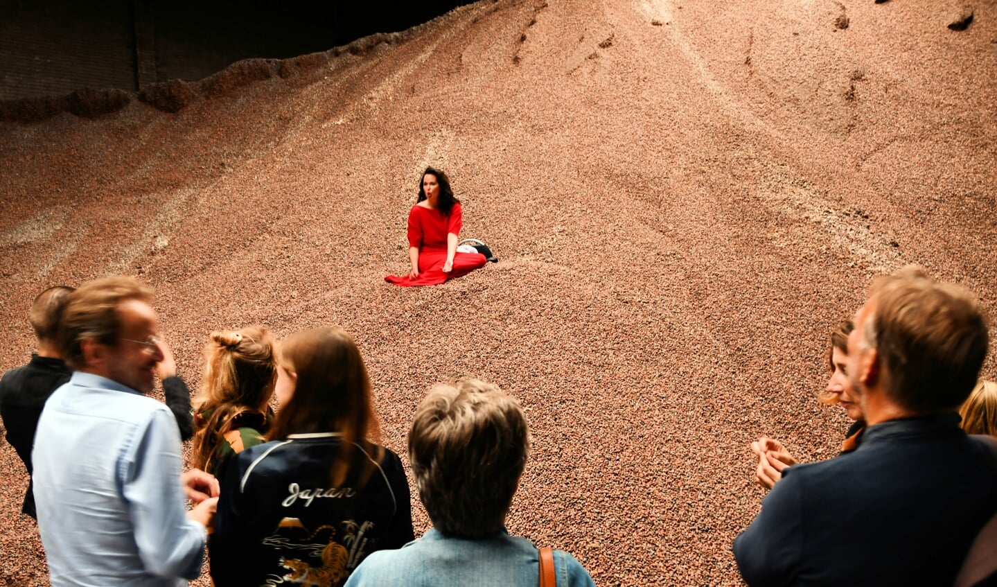 Rode fee zingt tussen de cacaobonen.