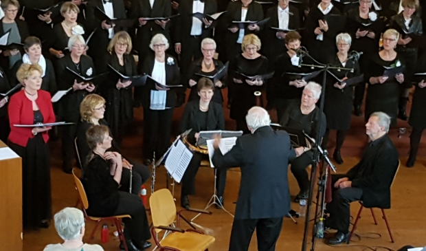 <p>Projectkoor Castricum in actie.</p>