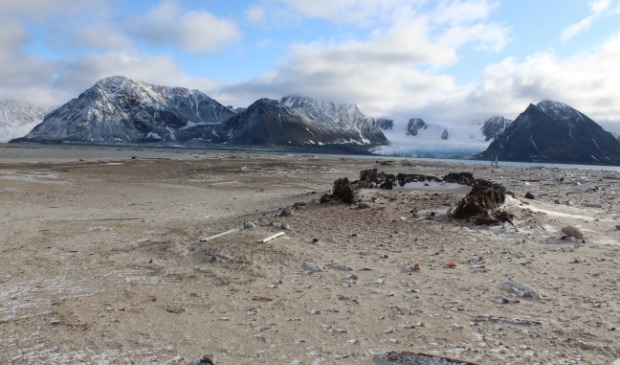 <p>Traanoven van Smeerenburg op Spitsbergen. </p>
