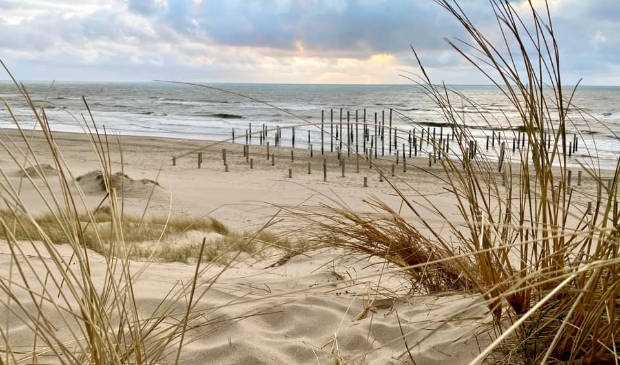 Het strand van Petten