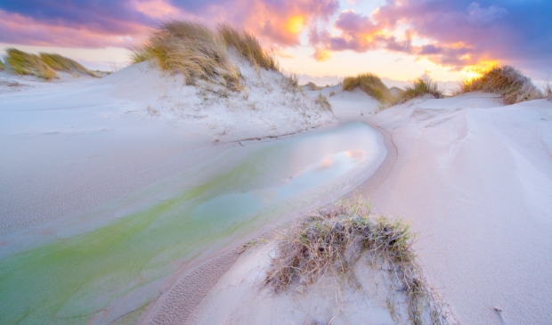 <p>De duinen</p>