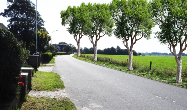 <p>Ziet de Westerweg in Limmen er zo uit in de toekomst? </p>