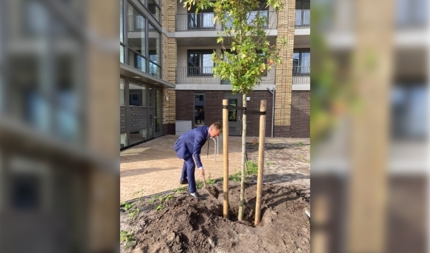 <p>Bestuursvoorzitter Gijsbert van Herk plant de eeste boom en daarmee is de oplevering een feit.</p>