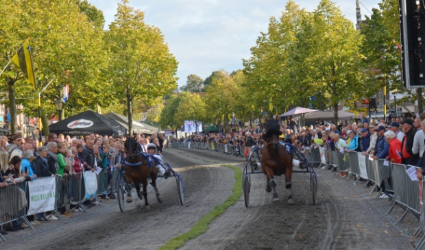 <p>De paarden draven over de Nieuwstraat in Medemblik.</p>