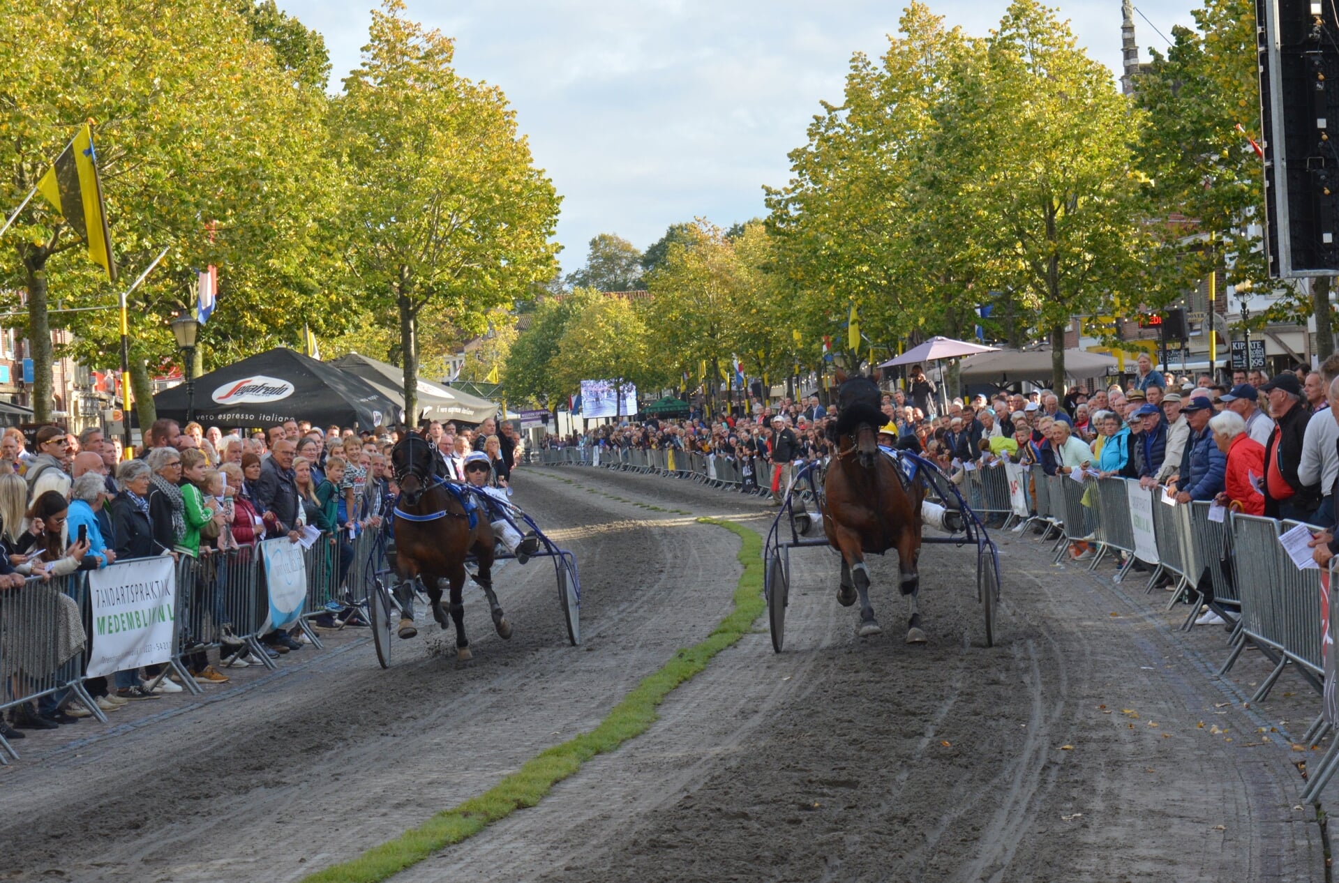 De paarden draven over de Nieuwstraat in Medemblik.