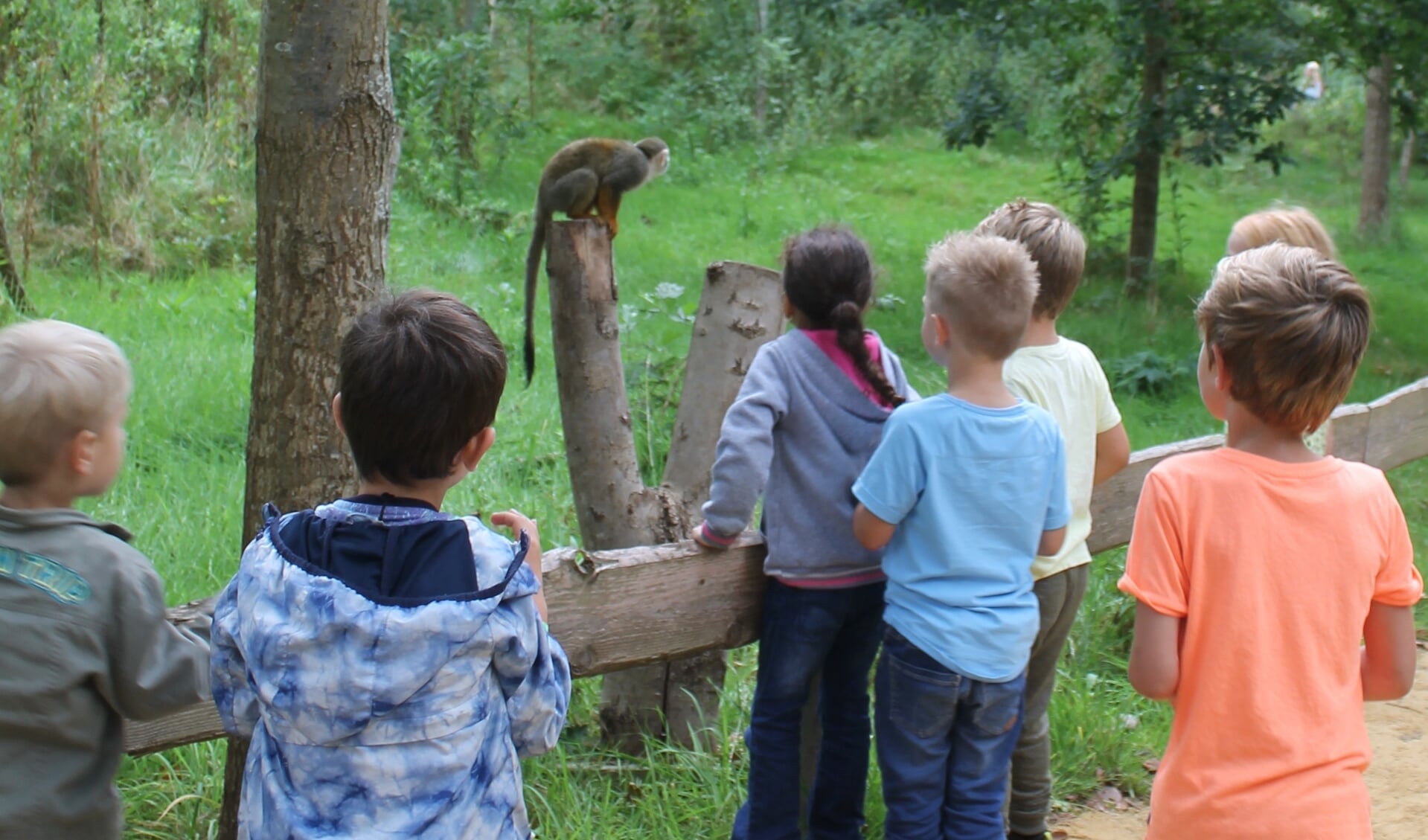 De kids waren onder de indruk van een aapje.
