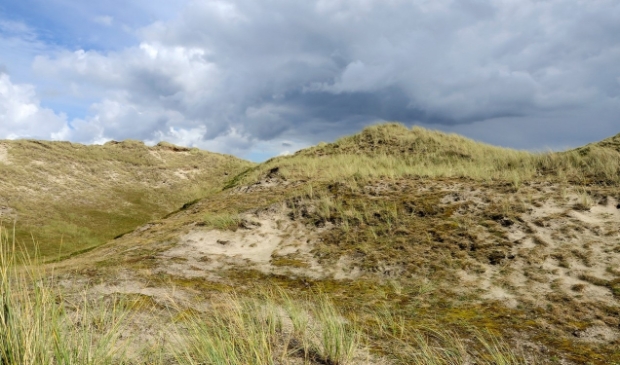 <p>Noordduinen.</p>