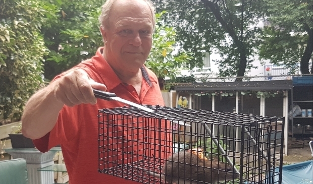 <p>René Oudshoorn met een rat in een val. Het probleem wordt volgens hem onvoldoende aangepakt.</p>
