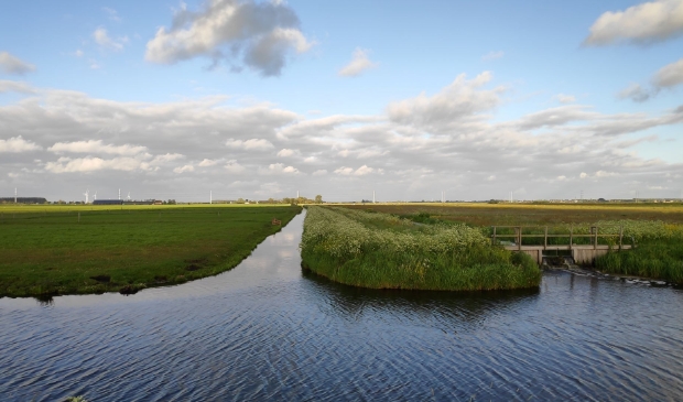 <p>Hoe kan de Biodiversiteit in heel Nederland opgekrikt worden?</p>