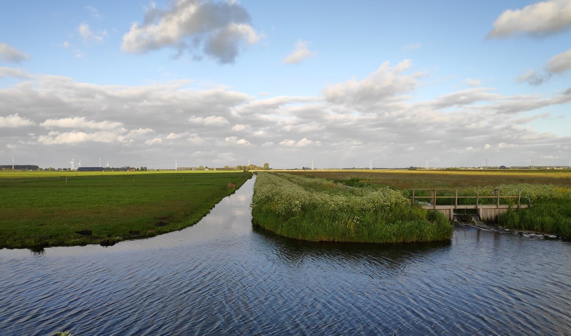 Hoe kan de Biodiversiteit in heel Nederland opgekrikt worden?