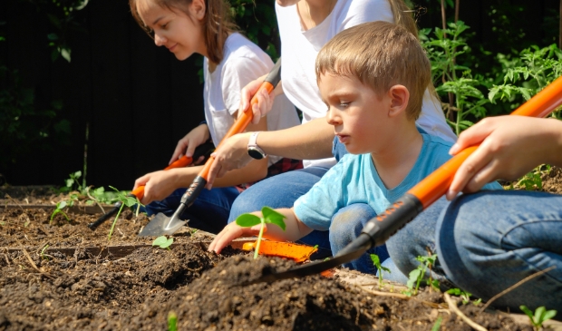 <p>Kinderen zijn lekker bezig in de moestuin</p>