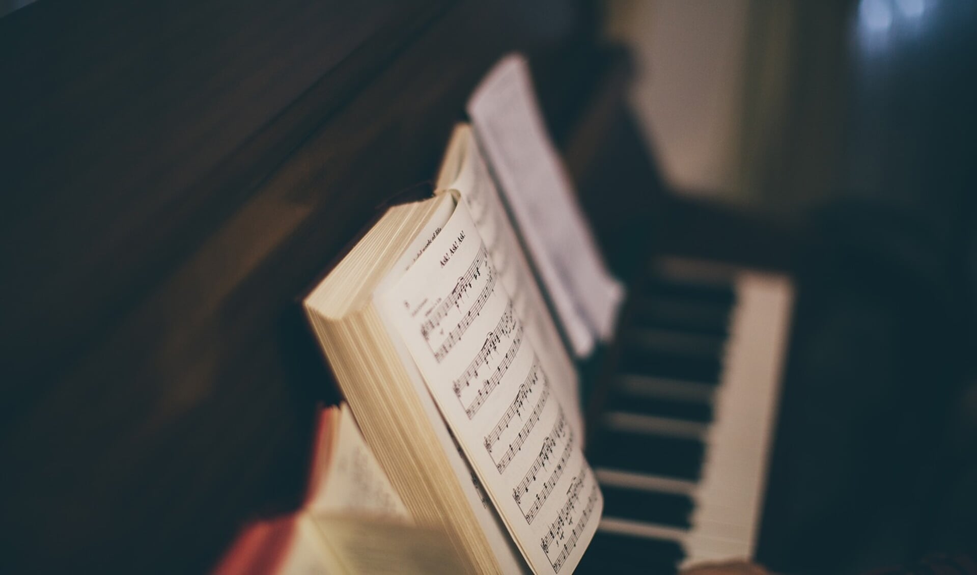 De muziek tijdens de cantatedienst wordt ten gehore gebracht door verschillende musici. 