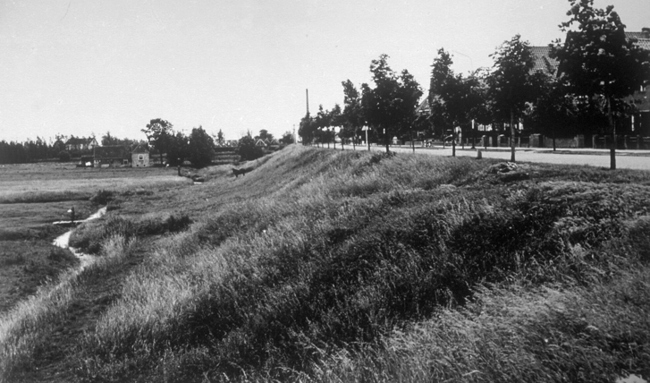 De oude dijk ter hoogte van de Prinses Julianalaan in 1950.