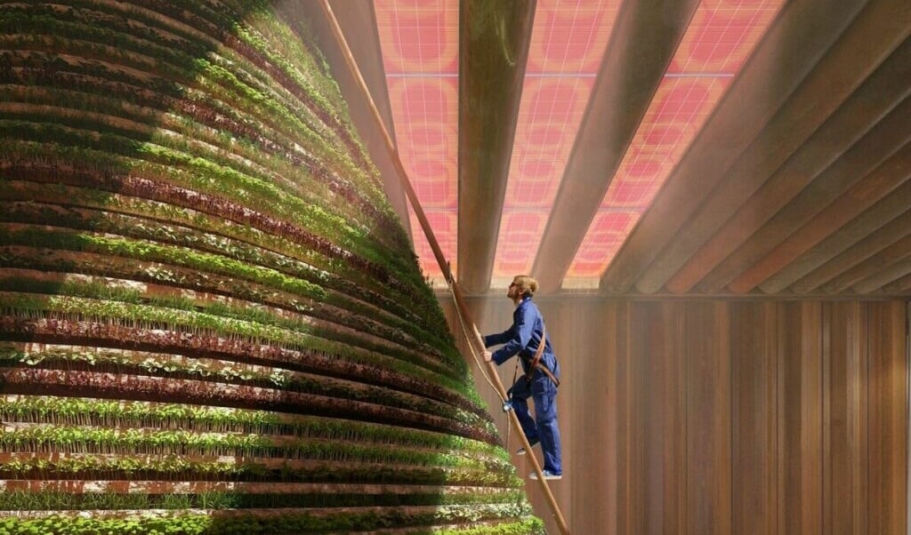 Tuinbouwdagen op de Expo 2020 Dubai.