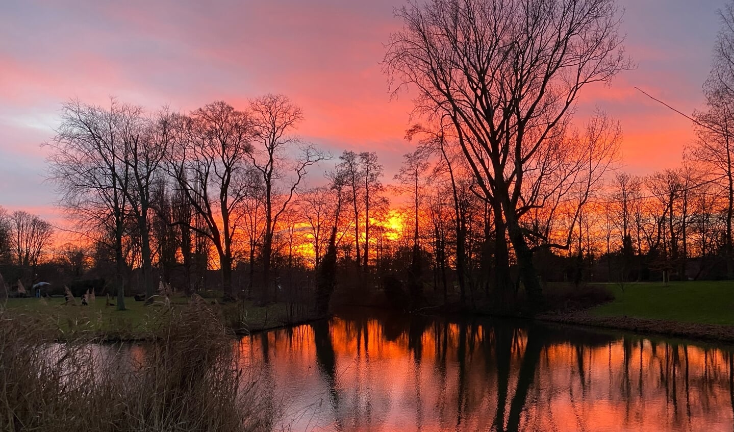 Deze prachtige zonsopgang in het oranje parkop de laatste dag van 2021.