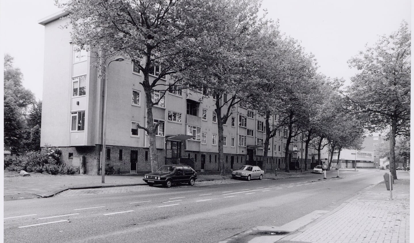 Ruys de Beerenbrouckstraat in juni 2001.