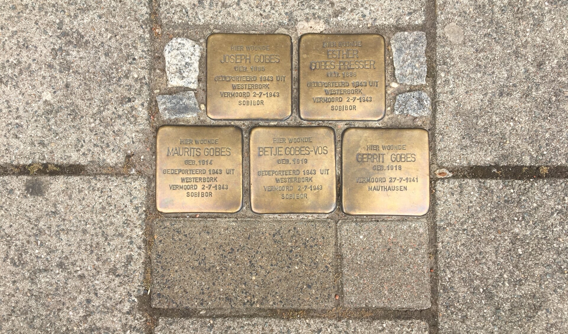 Struikelsteentjes in de Havikslaan 23 voor de Joodse familie Gobes die in Duitsland is vermoord.