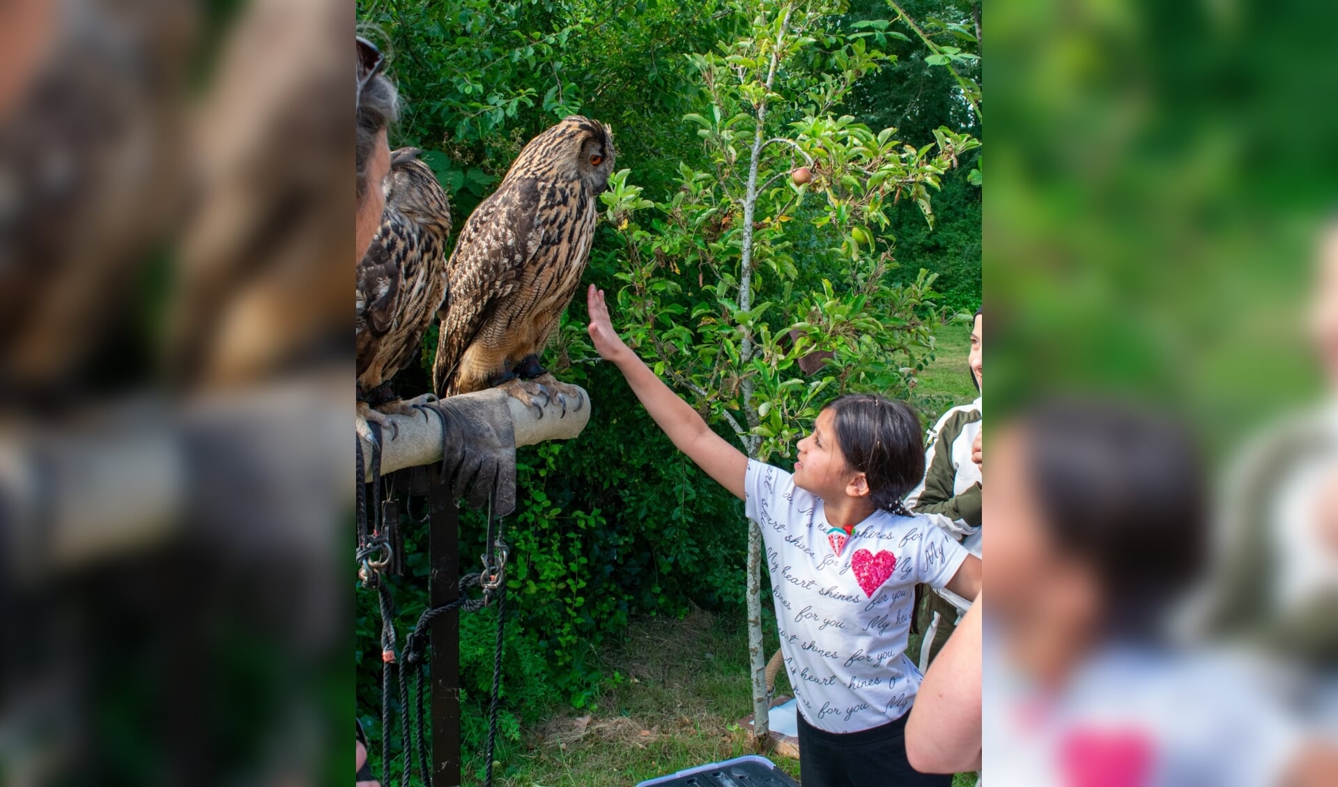 De kinderen mochten de uilen aaien en vasthouden.