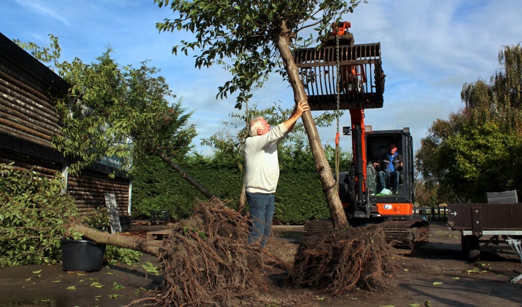 Op de Proeftuin van Holland in Boskoop worden de Floriade-bomen herplant door Jan Kalkman en kraanmachinist Ad van Leeuwen