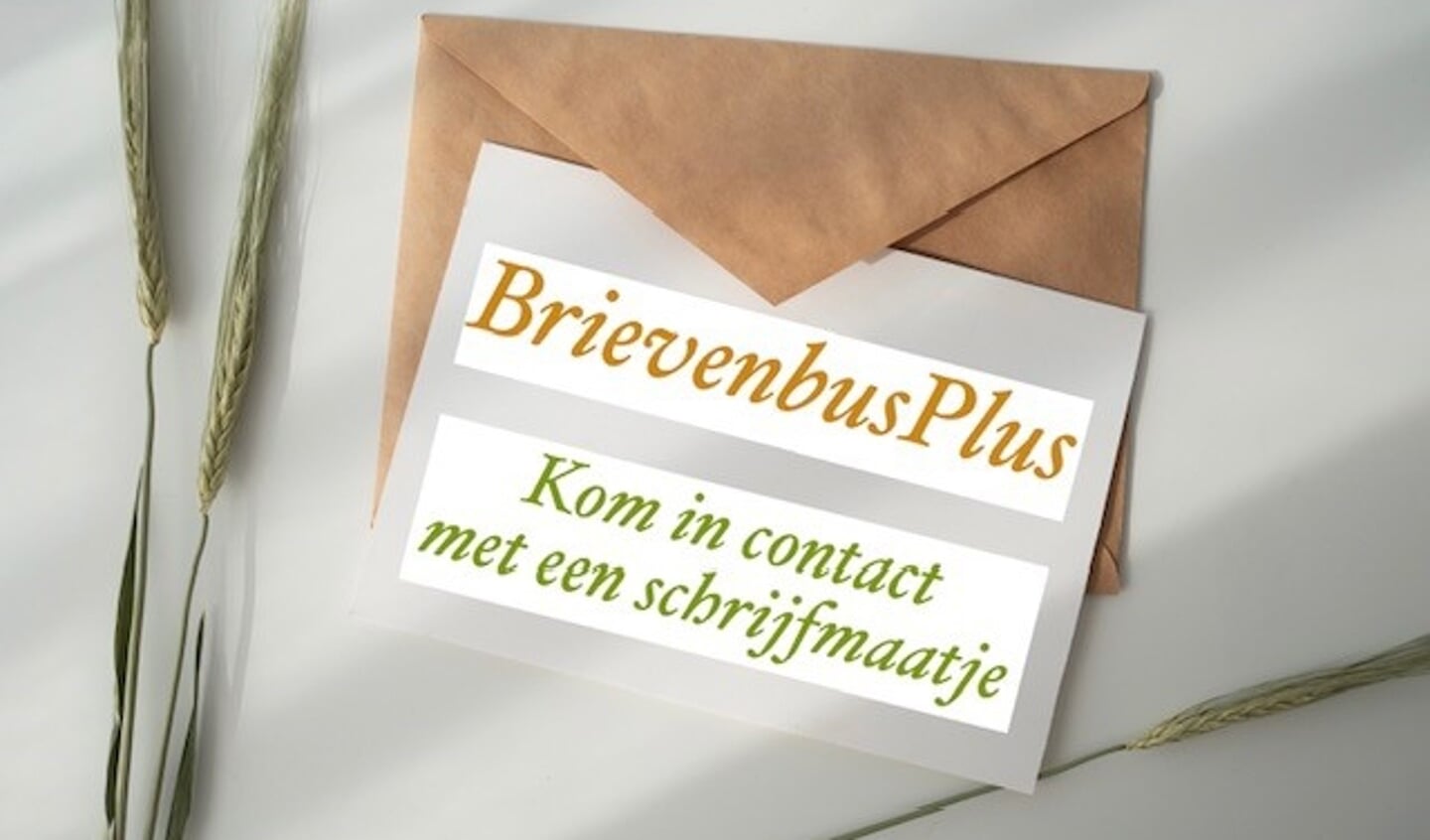 BrievenbusPlus is een penvriendproject, opgezet voor iedereen die behoefte heeft aan een schrijfmaatje.