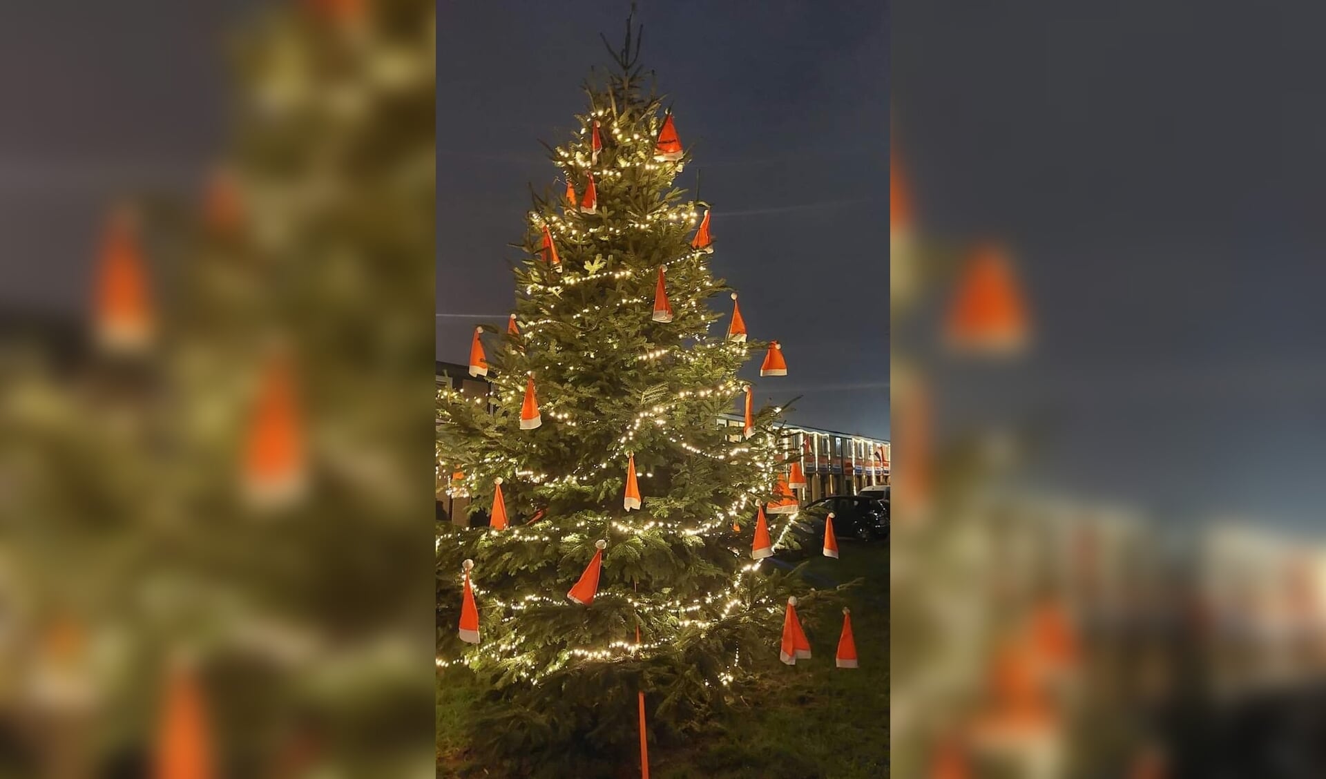 Aan de Ranonkeldreef staat zelfs een dennenboom met oranje kerstmutsen.