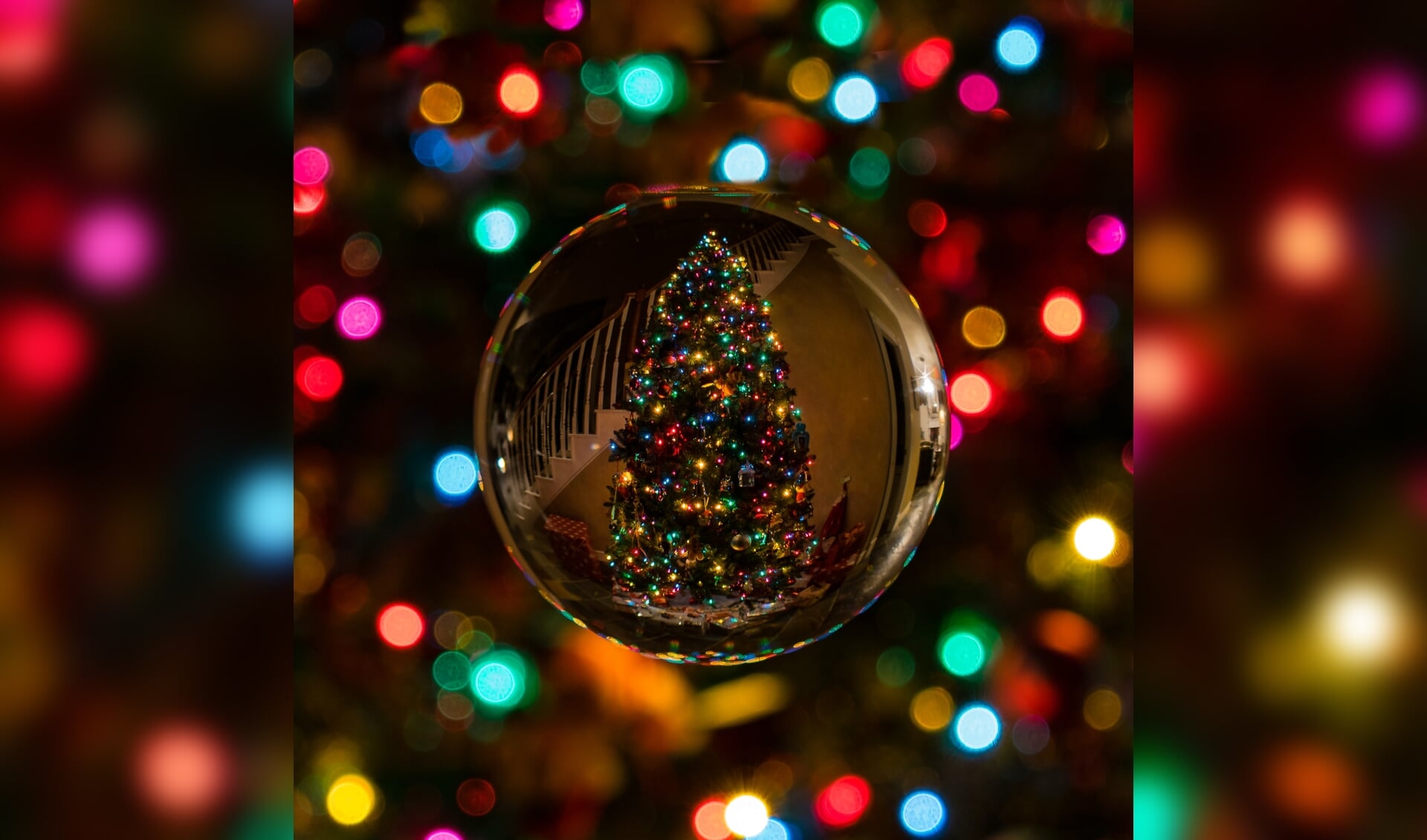 Wie heeft de mooiste kerstboom van Maassluis?