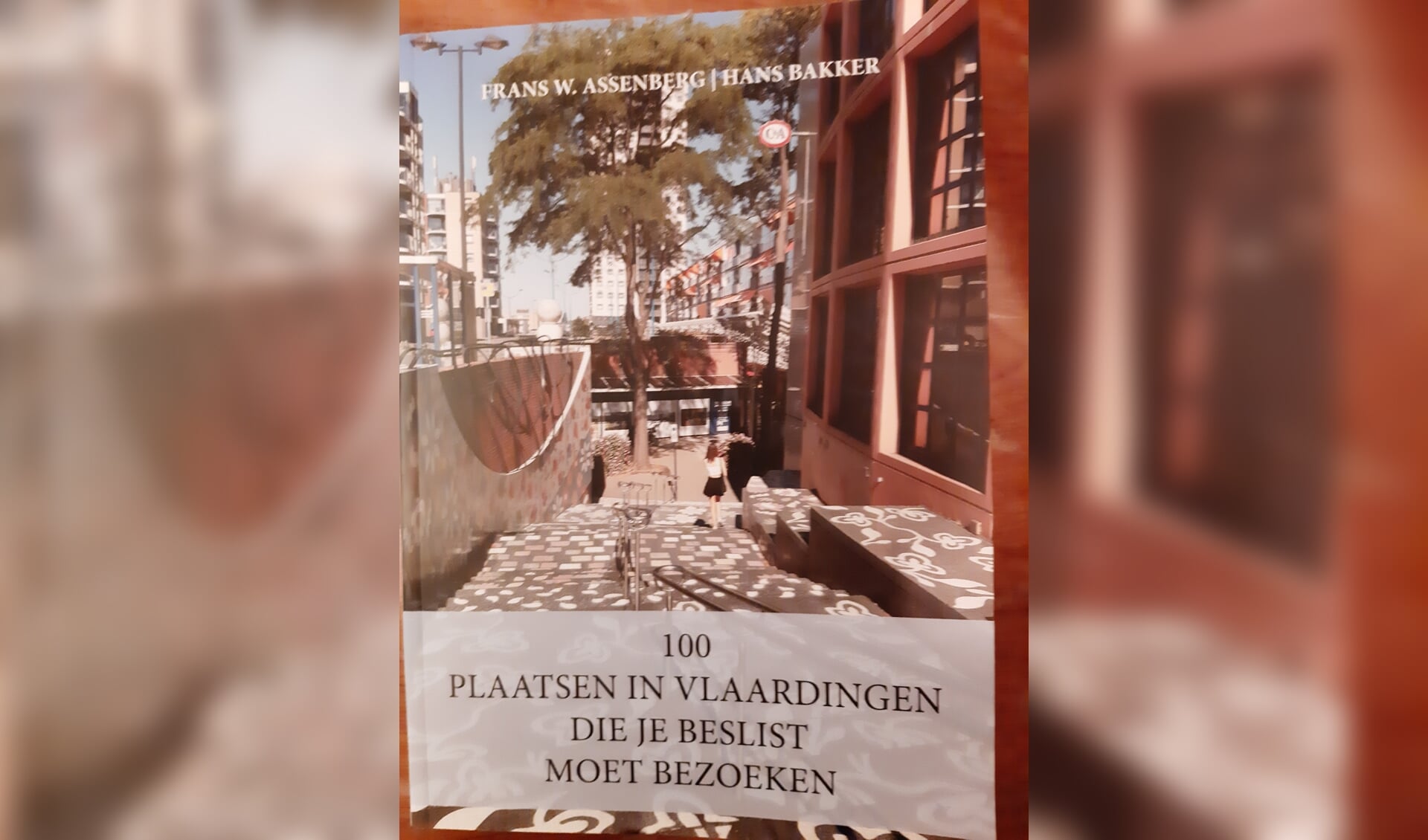Boekomslag van het boekje; 100 plaatsen in Vlaardingen.