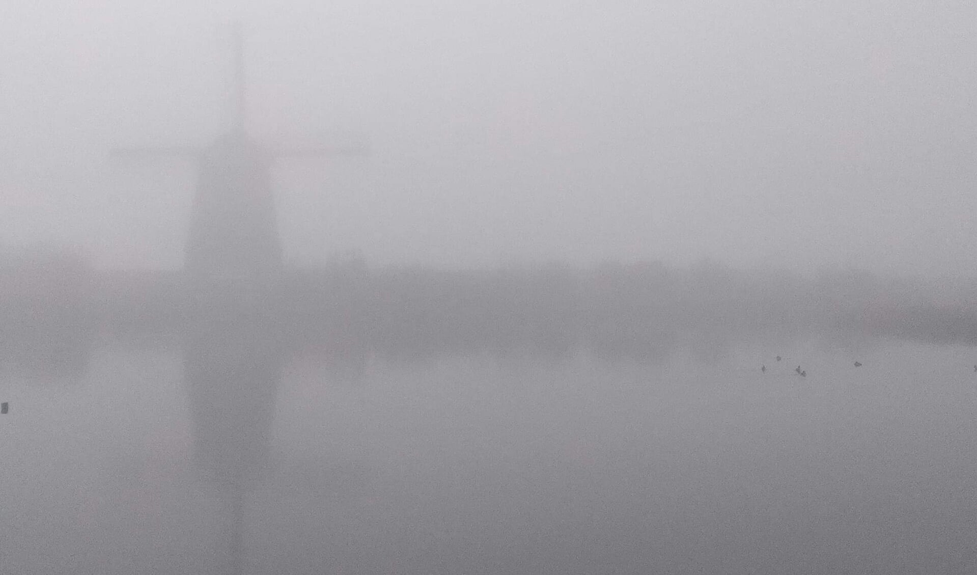 Welke molen staat er verscholen in de dikke mist van vanmorgen?