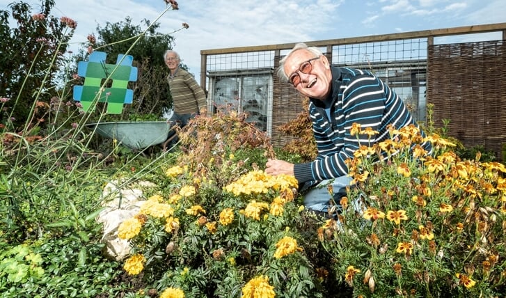 Bertus is vrijwilliger bij tuinverenging Spoorzicht. Hij doet dat met veel plezier.