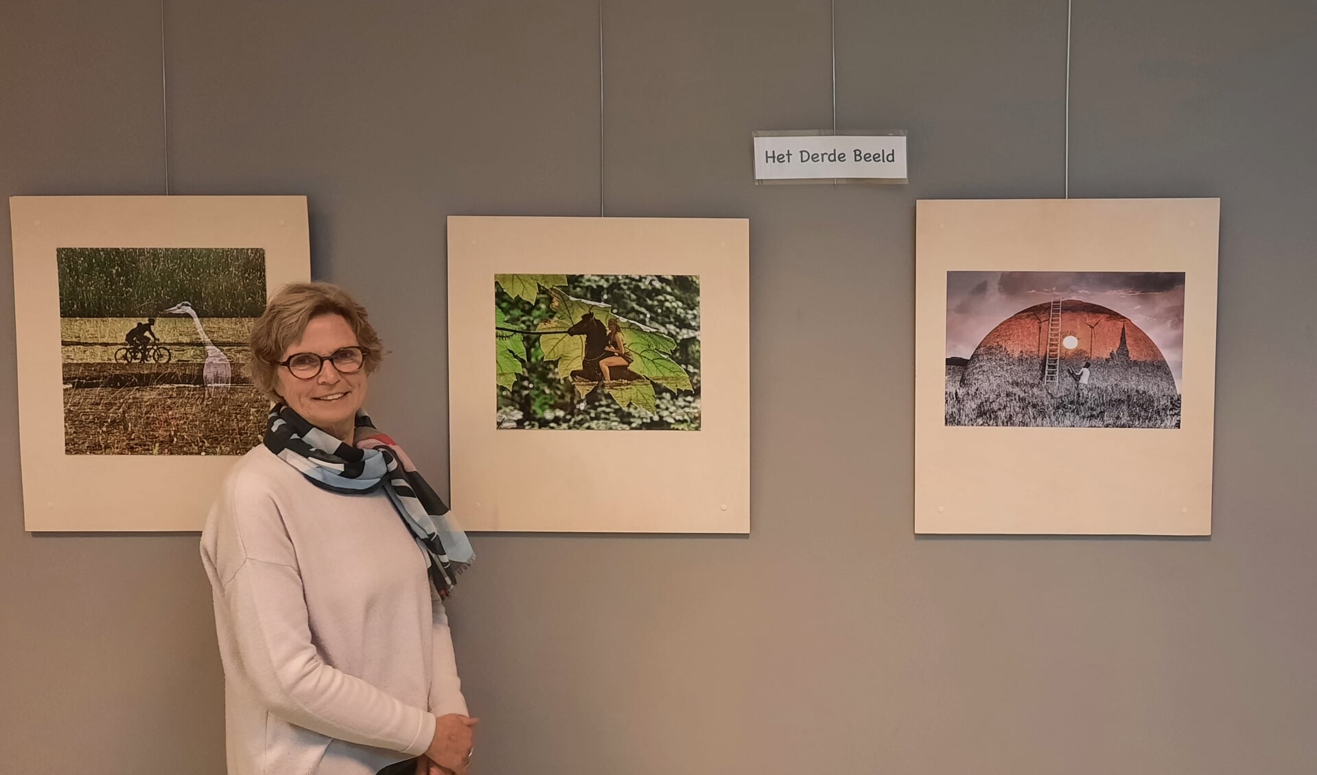 Het werk van Tineke Leering hangt goed verzorgd in de bibliotheek van Heiloo.