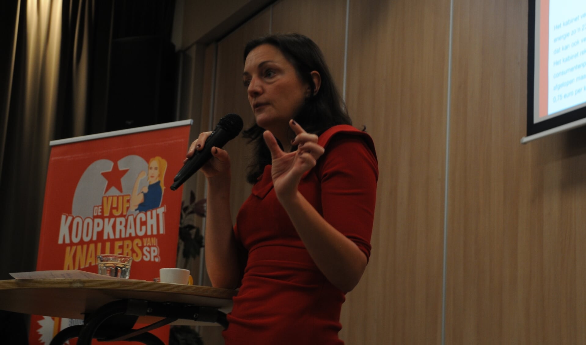 Sandra Beckerman, Tweede Kamerlid namens de SP, vertelde over de volkspetitie 'Nationaliseer de energie'.