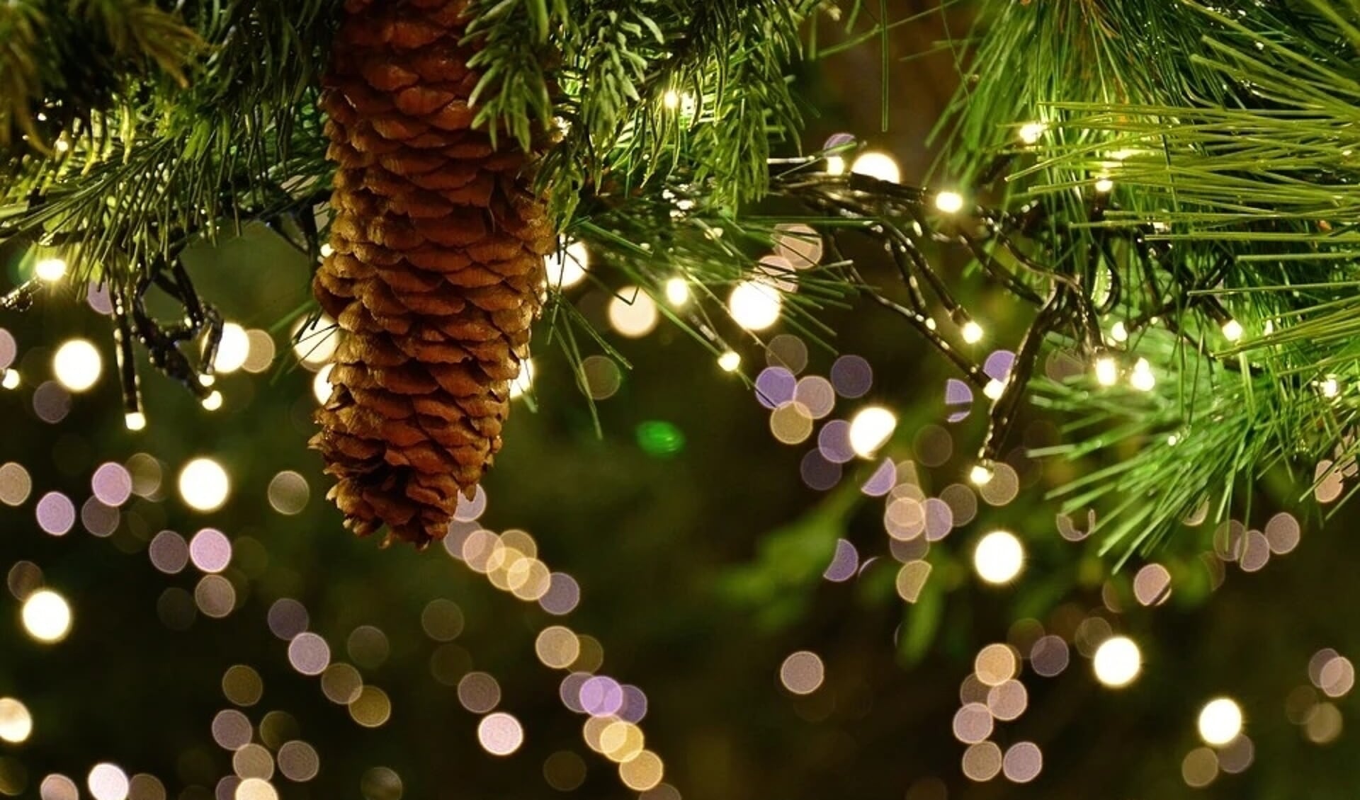 Er komt een kerst-wensboom te staan waarin iedereen zijn of haar wens kan hangen.