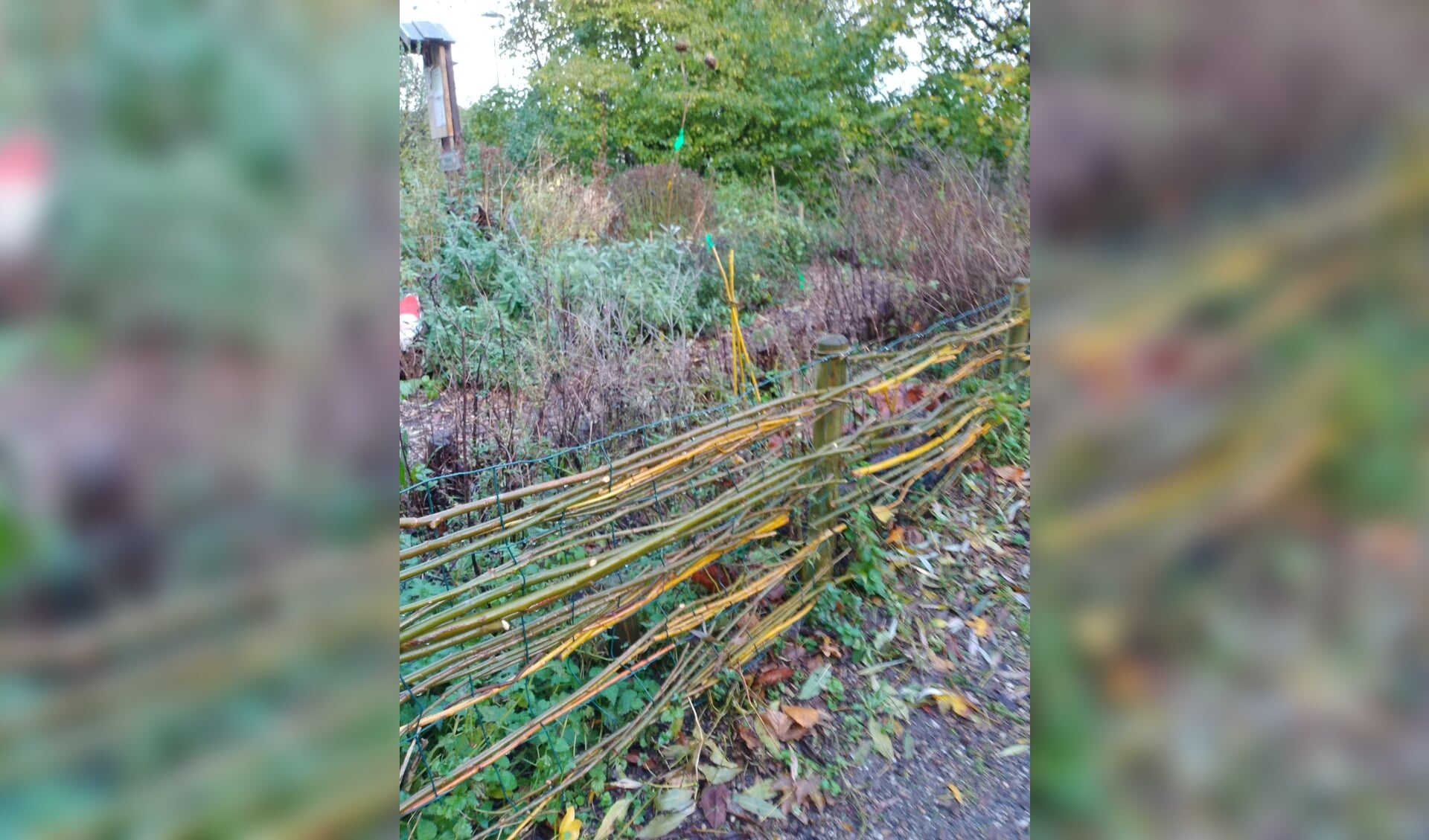 Tijdens de workshop worden ideeën aangereikt en voorbeelden getoond om zelf in je tuin aan de gang te gaan. 