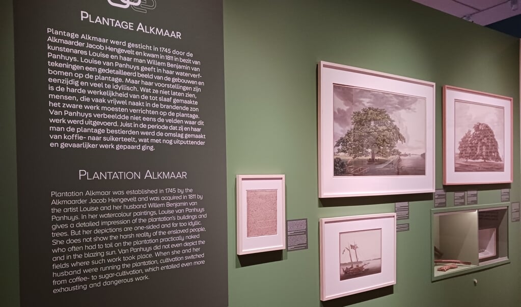 Tentoonstelling Plantage Alkmaar is nu te zien bij het Stedelijk Museum Alkmaar.