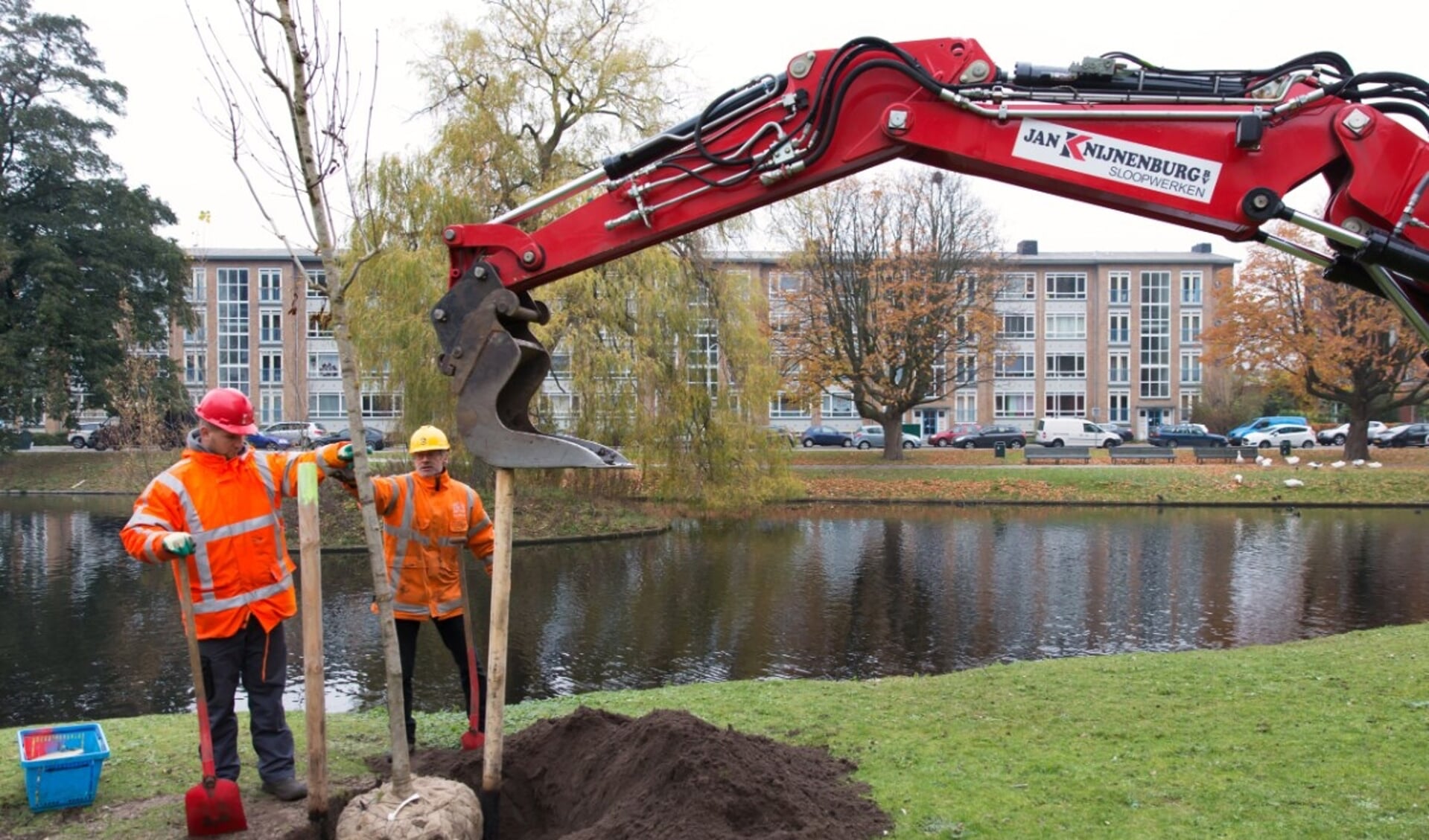 Nog dit jaar gaan er in Den Haag 1.350 bomen de grond in.