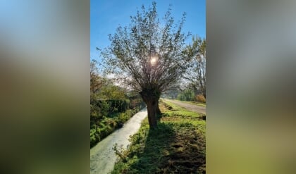 Afbeelding