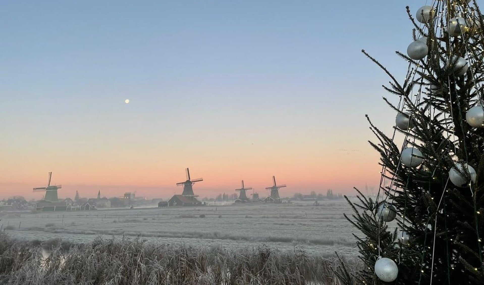 IJskoud de beste, deze winterse foto van Frits Böckling uit Zaandam. 