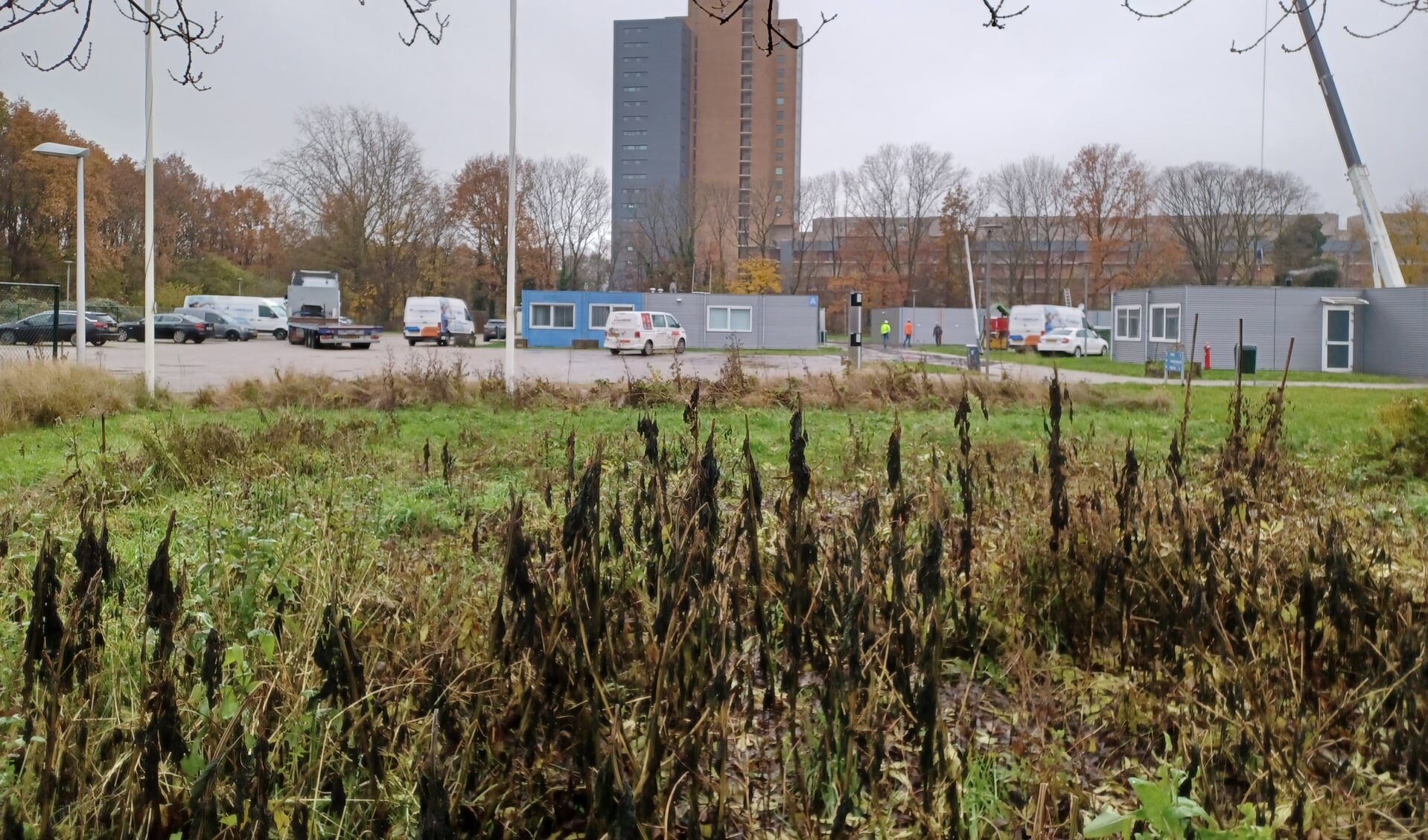 Werkzaamheden op het voormalige azc-terrein op 8 december 2022. Sommige statushouders hebben intussen versneld een sociale huurwoning gekregen, anderen zijn ondergebracht in een hotel in Rijswijk.