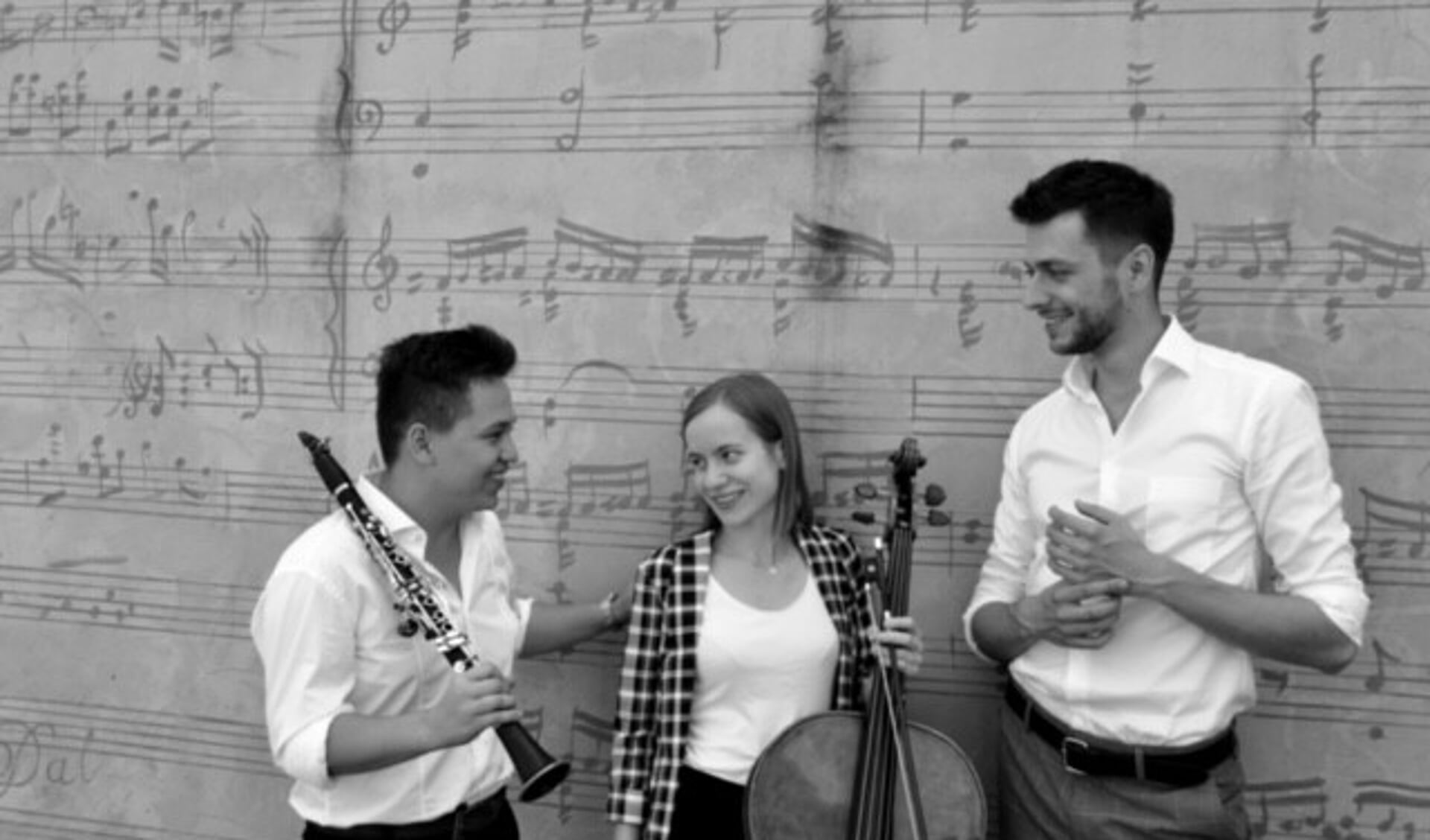 Warsaw Trio is begin 2018 opgericht aan de Fryderyk Chopin University of Music in Warschau.