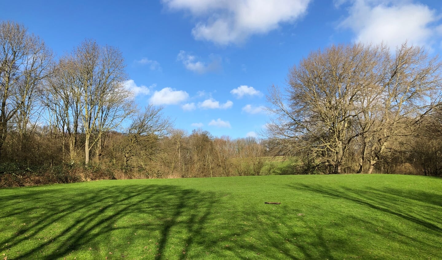 Een groene heuvel met bomen in het Elsenburgerbos. Hoe denken de partijen in Rijswijk over groen in de gemeente?