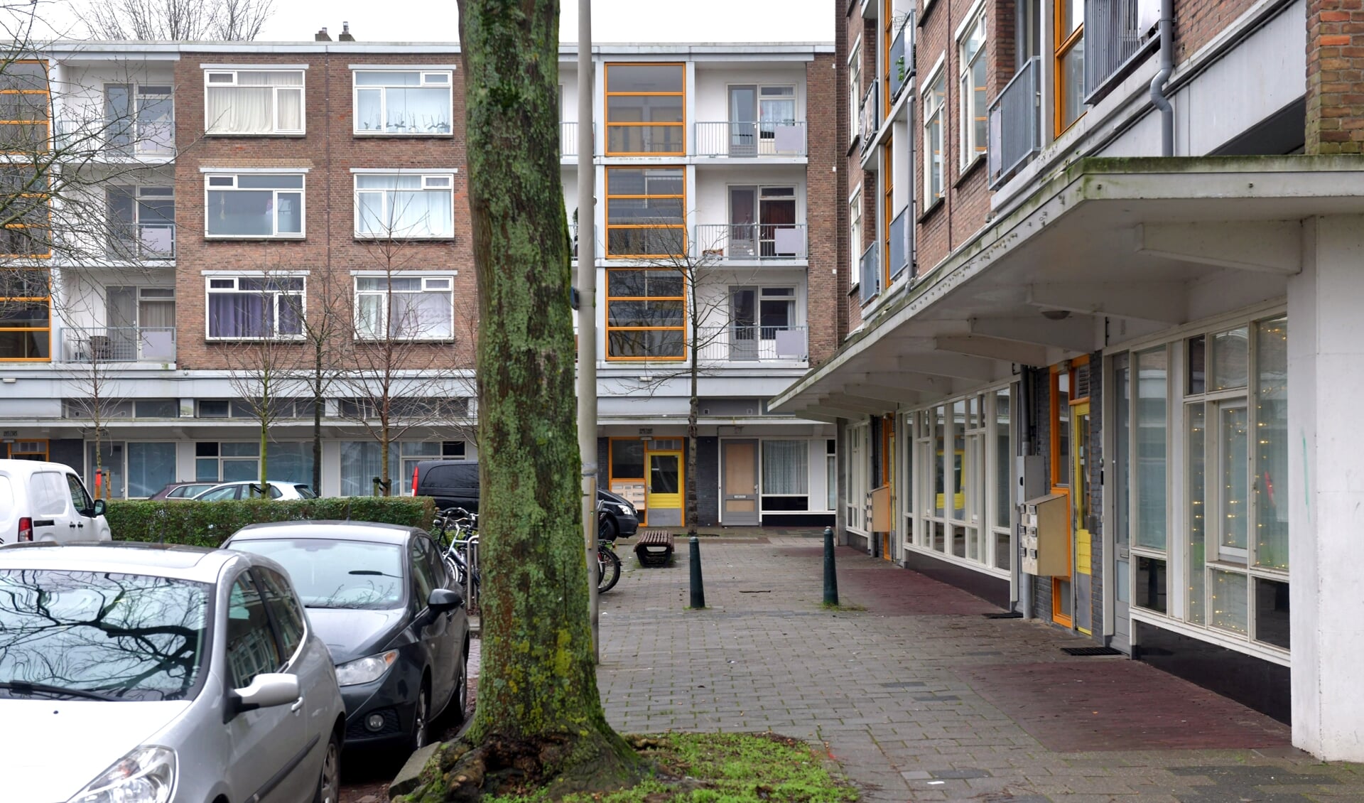 In de Dreven, Gaarden en Zichten worden 2000 woningen gesloopt. GroenLinks vindt dat bewoners de kans moeten krijgen om hierover mee te praten. 