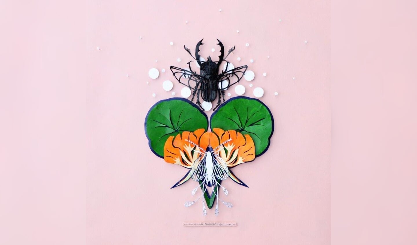 Papierknipkunst van Sandra Westgeest.